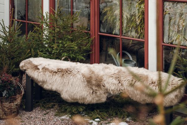 Hovedbilde Skinnwille Gently dobbelt saueskinn - beige