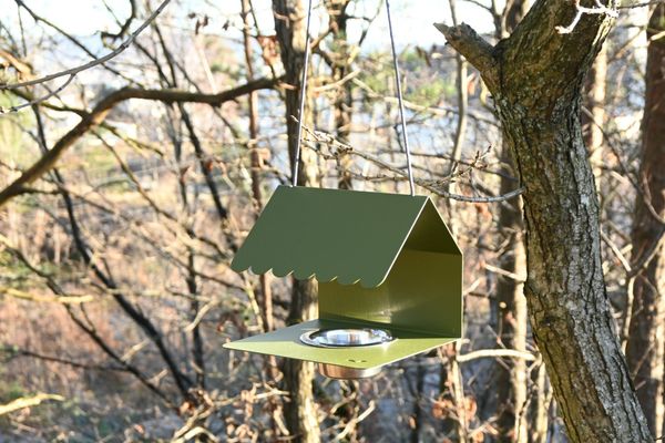 Hovedbilde Fermob Picoti fuglebrett - pestogrønn 